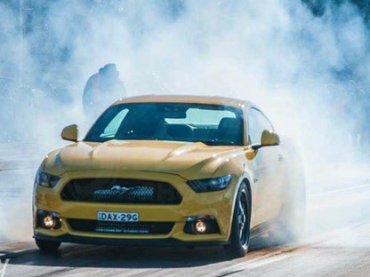 https://plazmaman.com/wp-content/uploads/2018/01/MUSTANG-2-.jpg